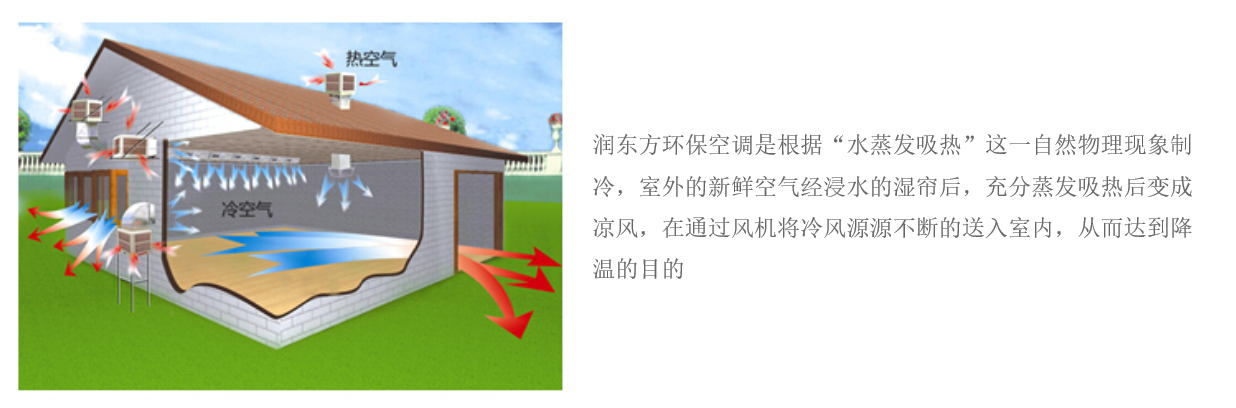 移动式润东方RDF-18Y(图2)